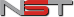logo nst informatica